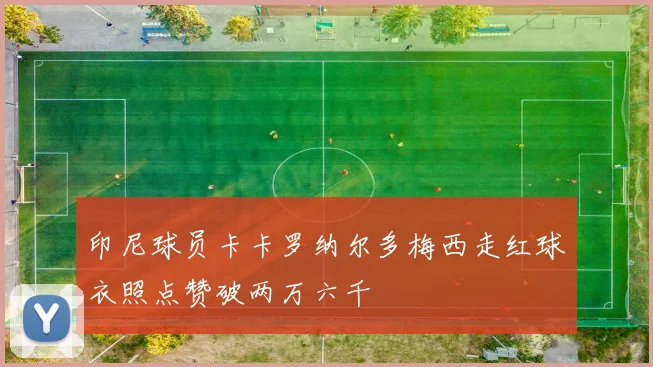 印尼球员卡卡罗纳尔多梅西走红球衣照点赞破两万六千